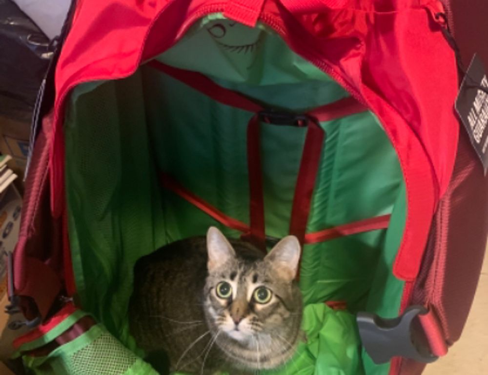 crypto guide drhcryptology