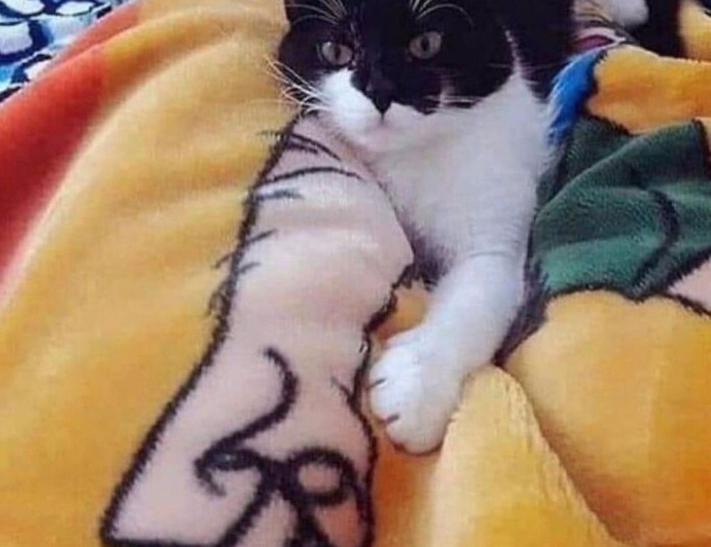 growth strategy drhcryptology