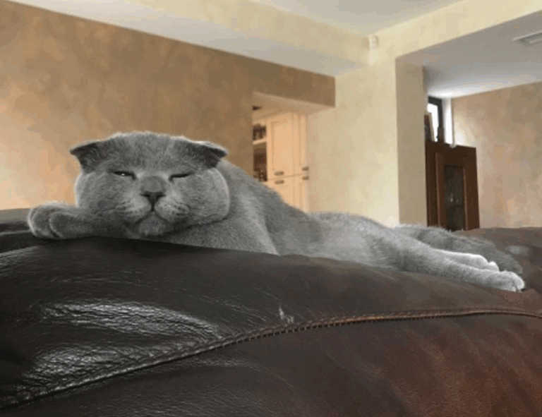 how do crypto charts work drhcryptology