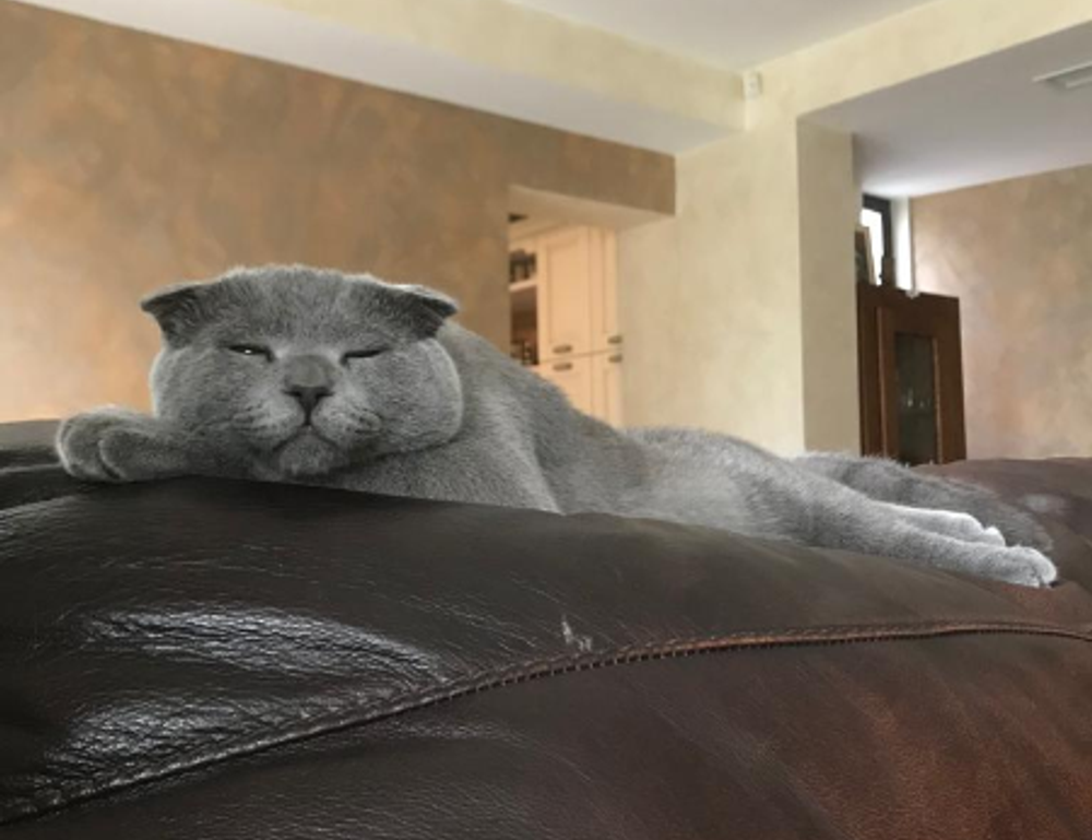 how do crypto charts work drhcryptology