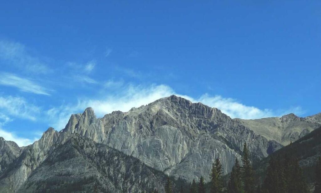 what crypto should i be investing in drhcryptology