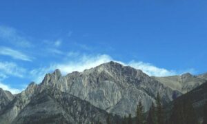 what crypto should i be investing in drhcryptology