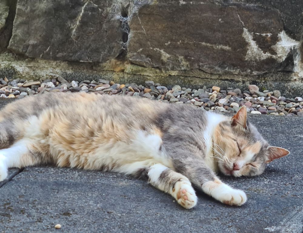 why crypto is a good investment drhcryptology