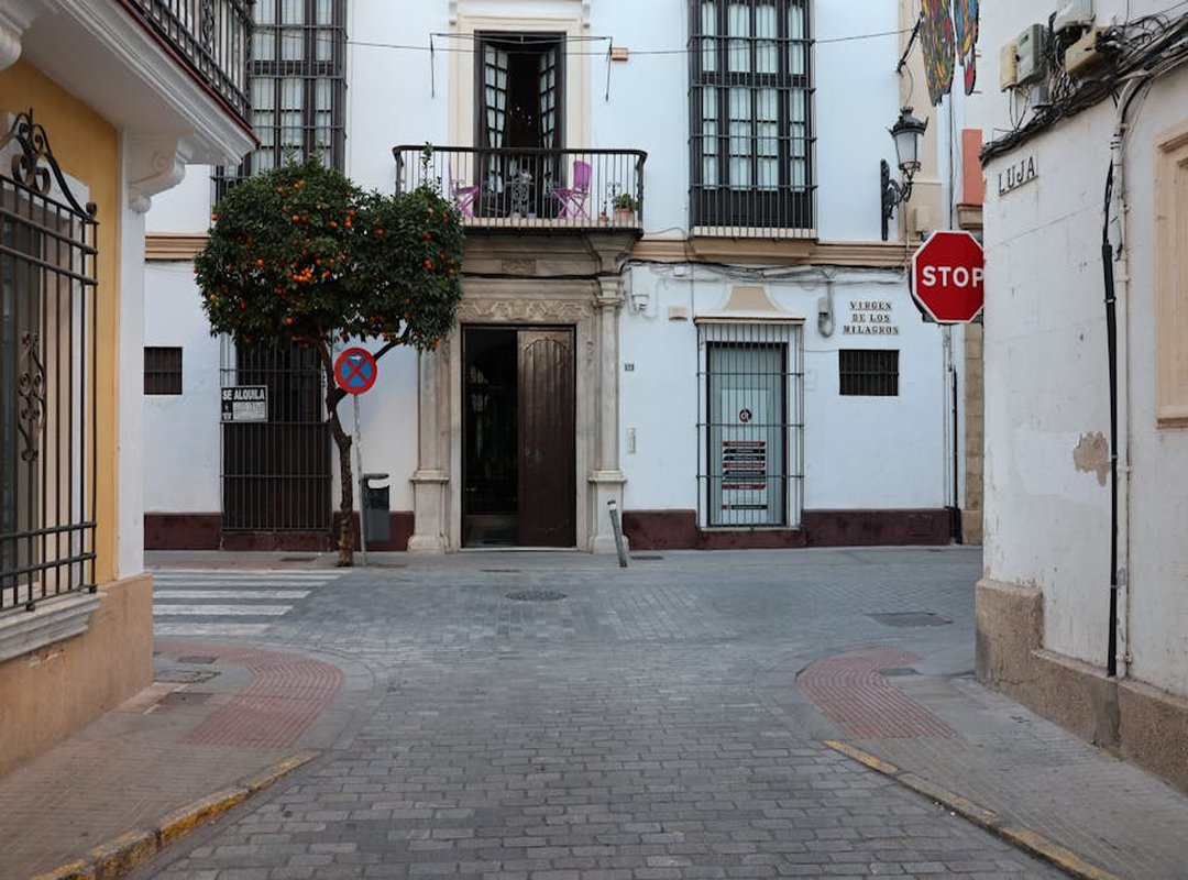 Cuando el Plan se Desmorona: Un Estornudo de Harina