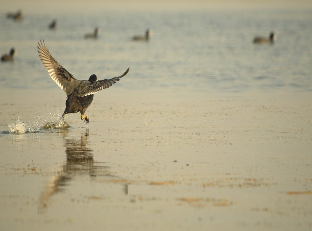 Common Misconceptions About Czskkurvy