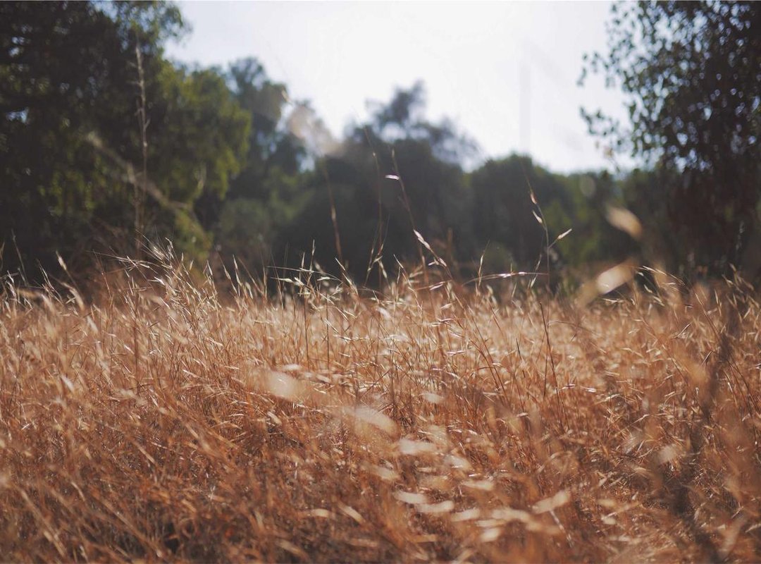 Beyond the Ice: Building a Global Brand