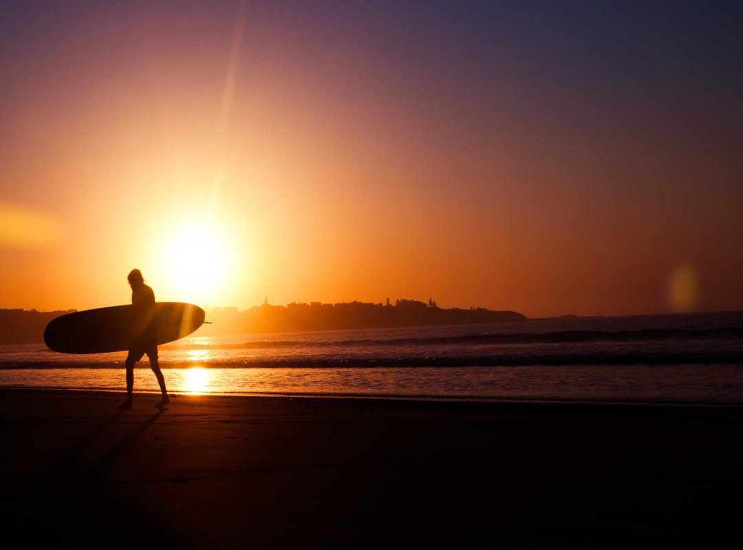 Fueling Your Progress: Nutrition for Muscle Growth