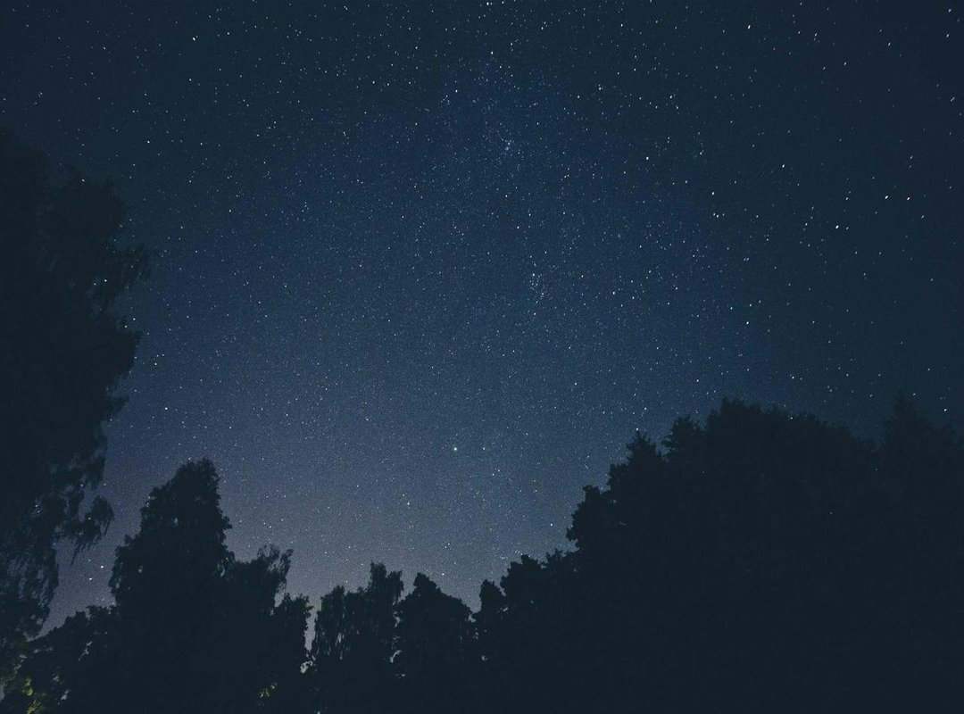 Deep Dive: The CSI Episode 'Pool Shark'